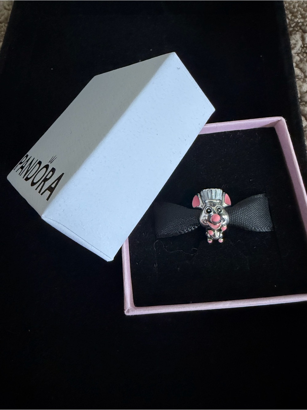 Disney Pixar Ratatouille Remy Charm
